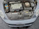 Volkswagen Beetle Image 12