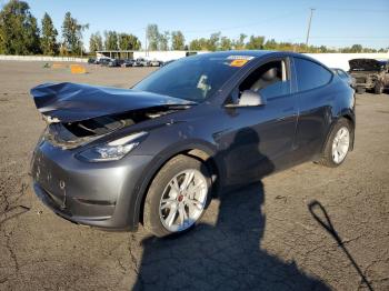  Salvage Tesla Model Y