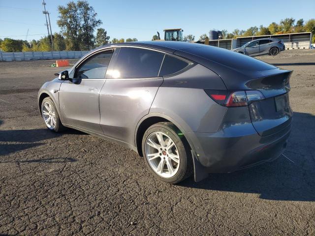 Tesla Model Y Image 3