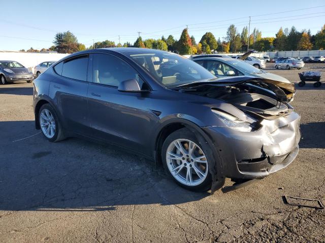Tesla Model Y Image 7