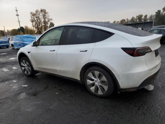 Tesla Model Y Image 4