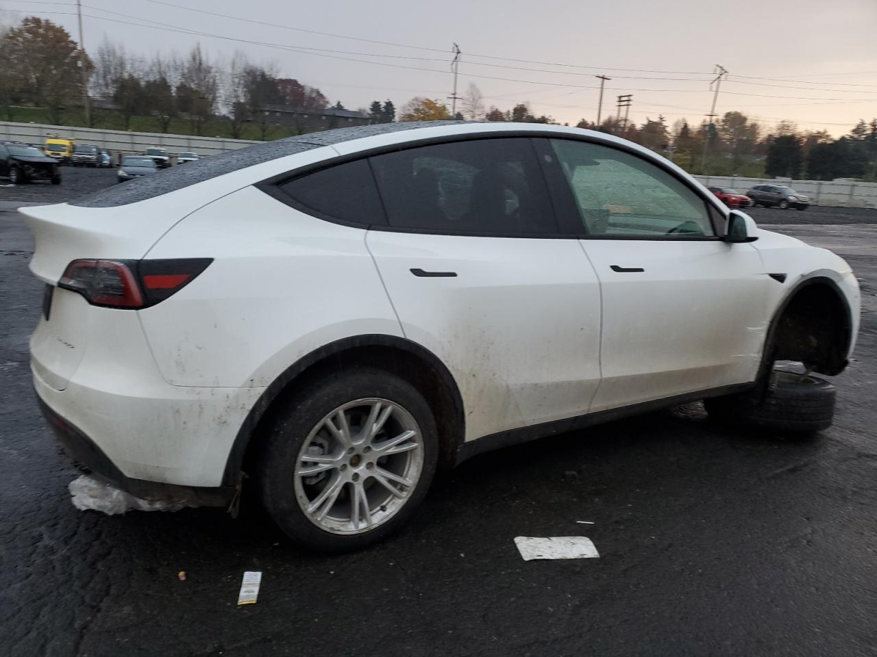 Tesla Model Y Image 2