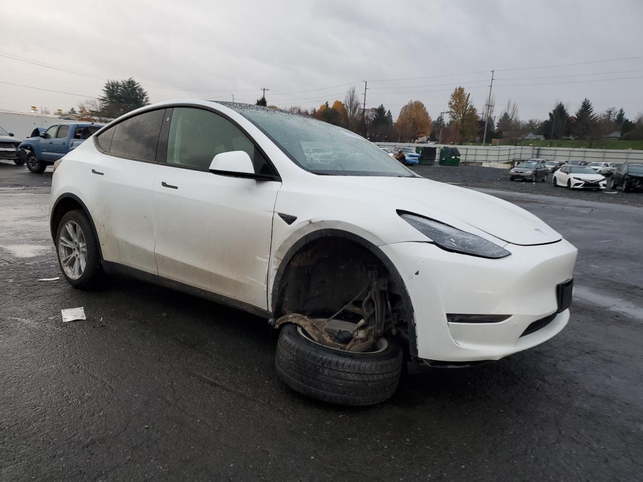 Tesla Model Y Image 8