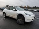Tesla Model Y Image 8