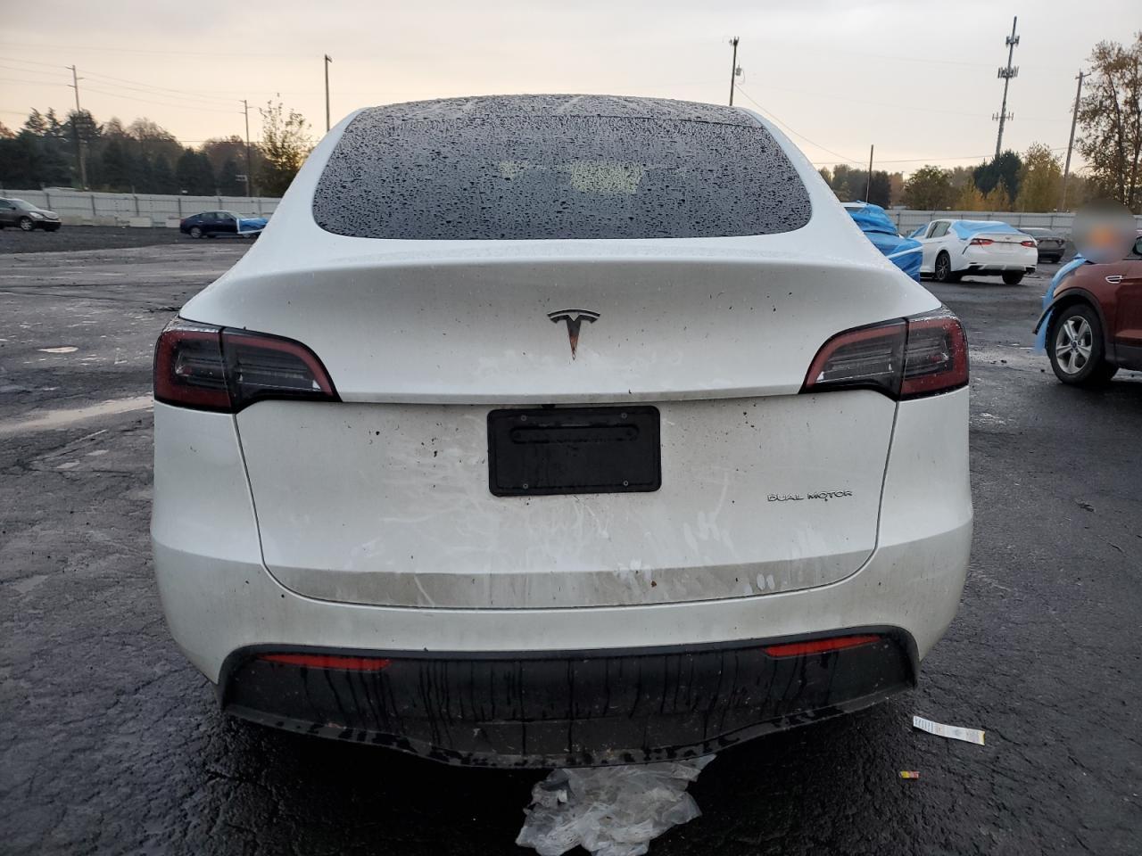 Tesla Model Y Image 5