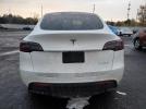 Tesla Model Y Image 5