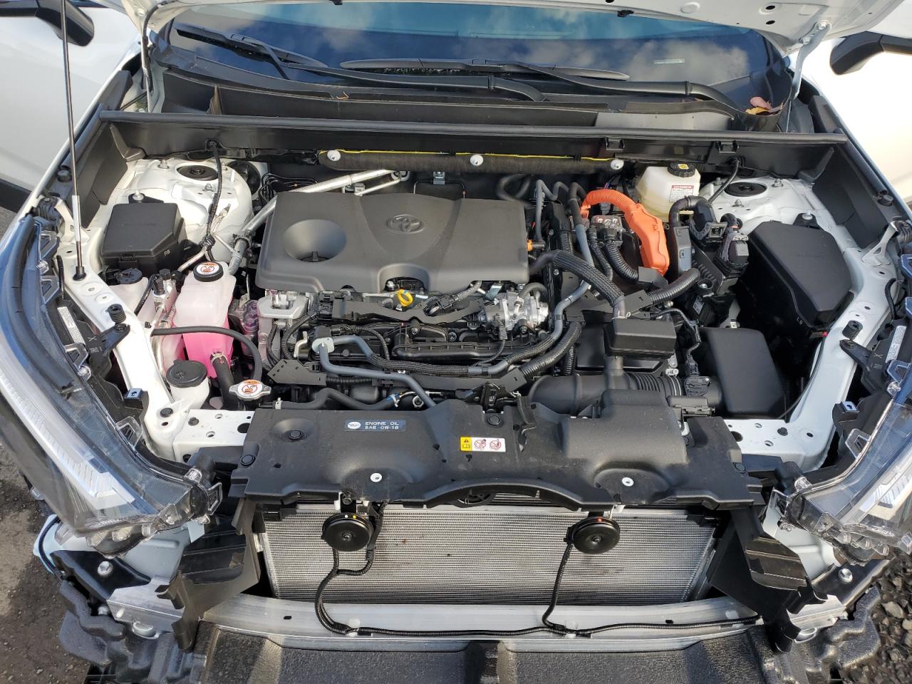 Toyota RAV4 Xle Image 12