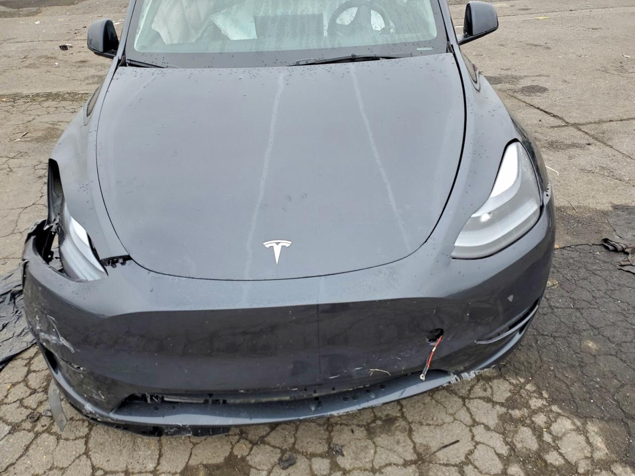 Tesla Model Y Image 10