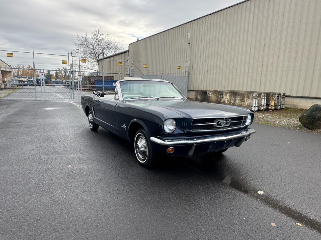 Ford Mustang Image 1