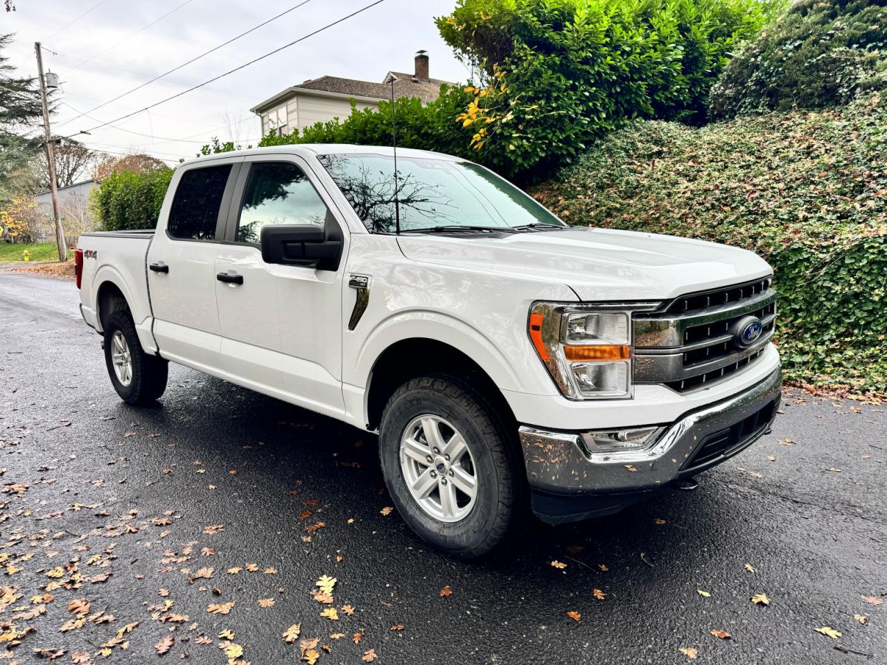 Ford F-150 Supercrew Image 1