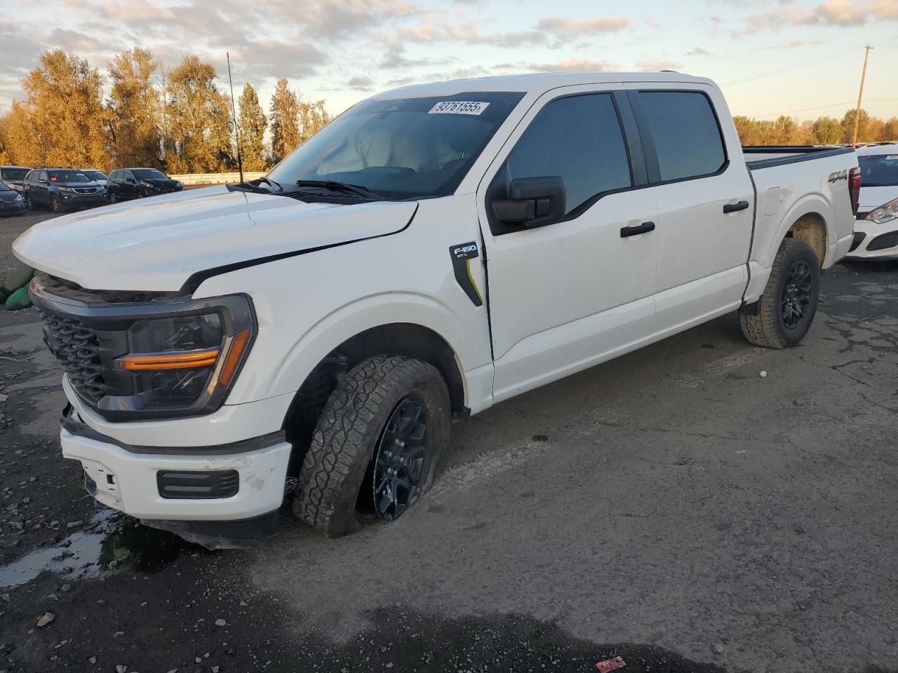 Ford F-150 Stx Image 1