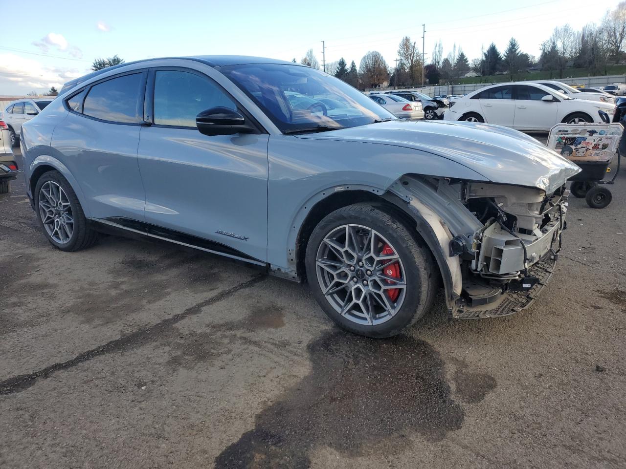 Ford Mustang Gt Image 12