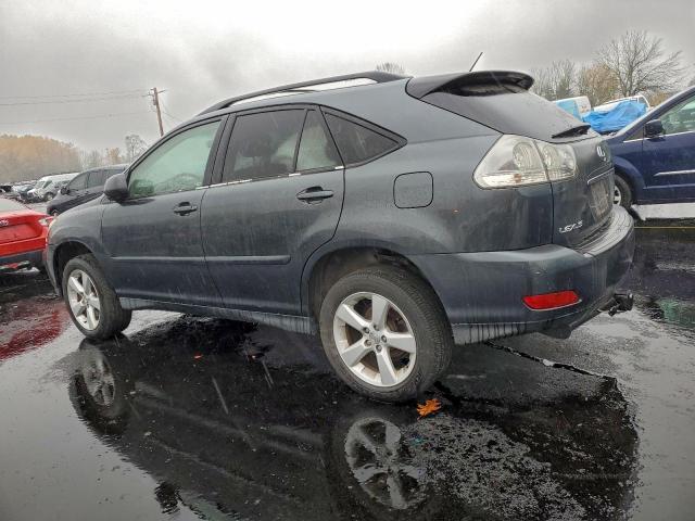 Lexus RX 330 Image 10