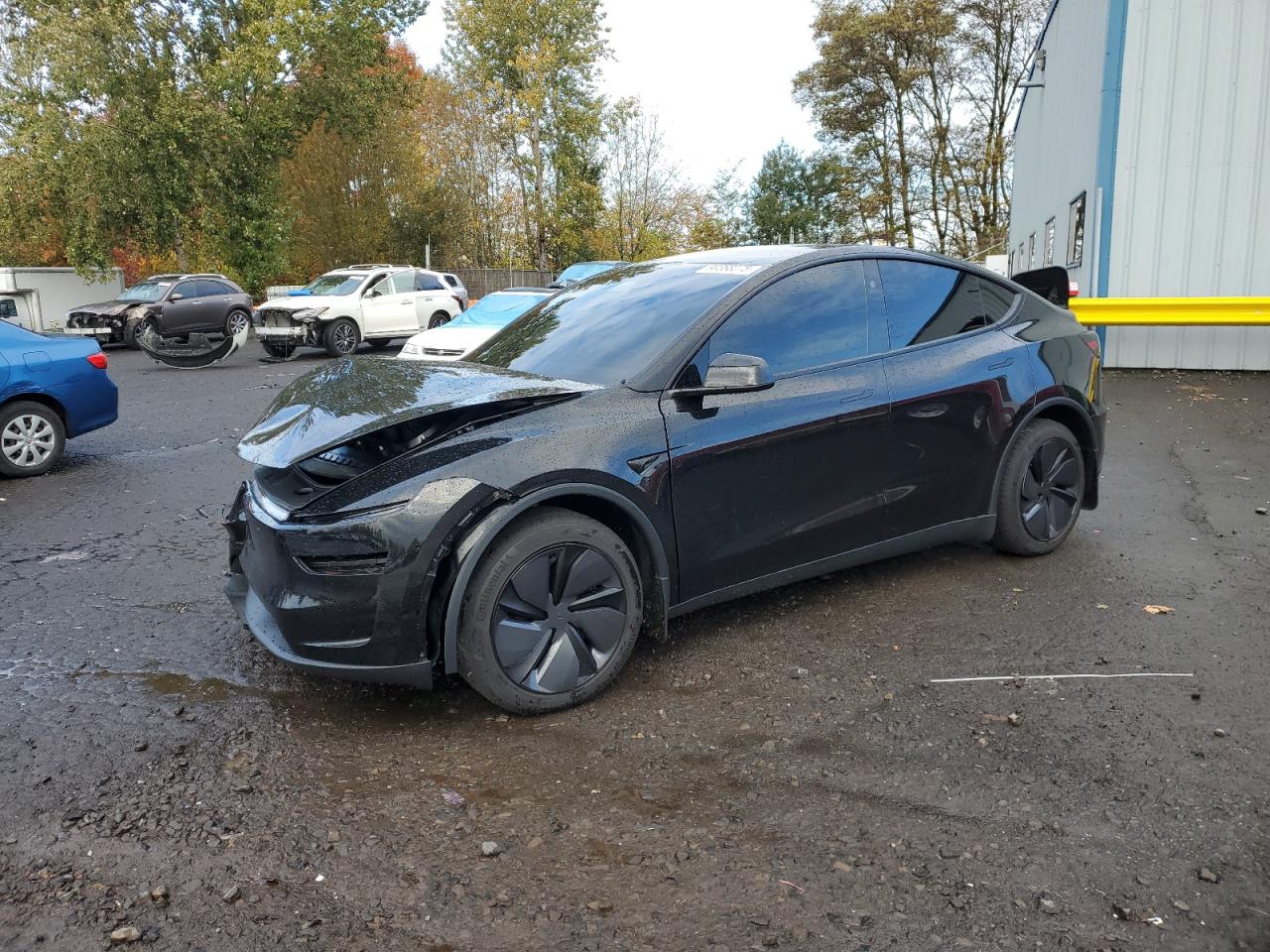 Tesla Model Y Image 1