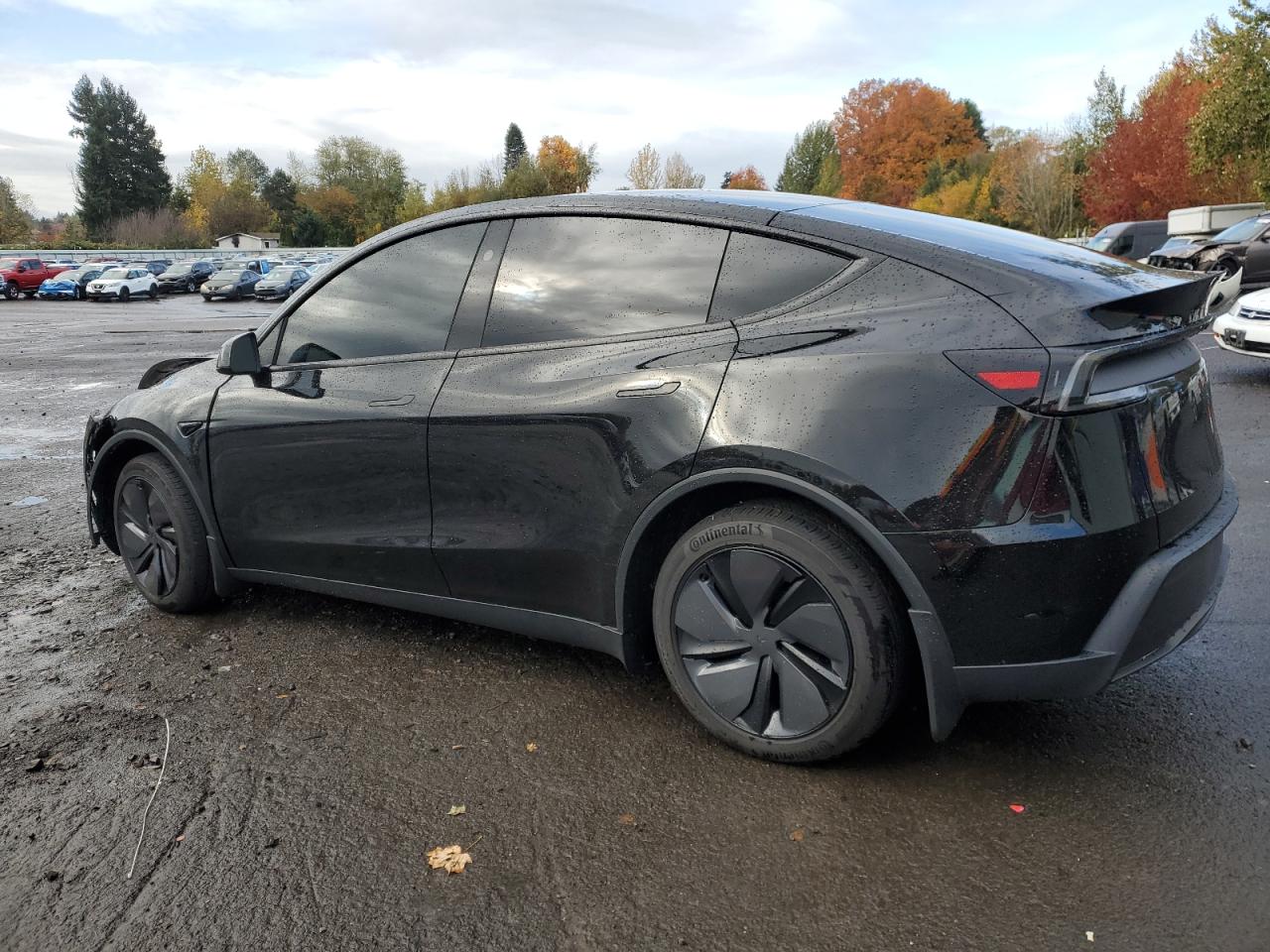 Tesla Model Y Image 9