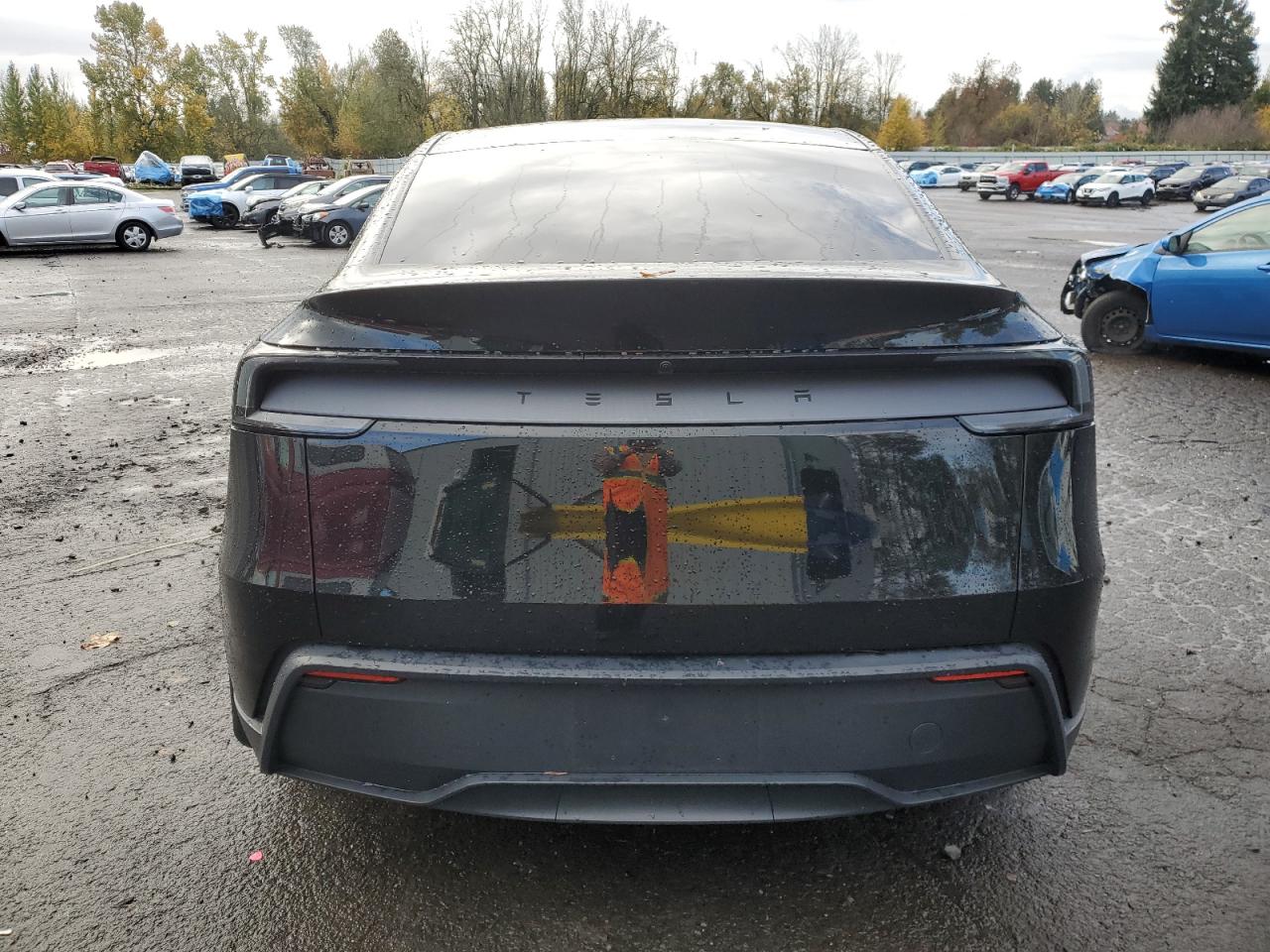 Tesla Model Y Image 11