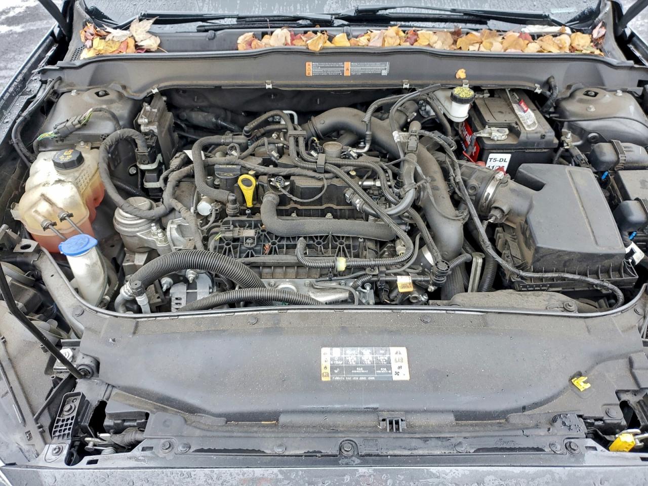 Ford Fusion Se Image 9