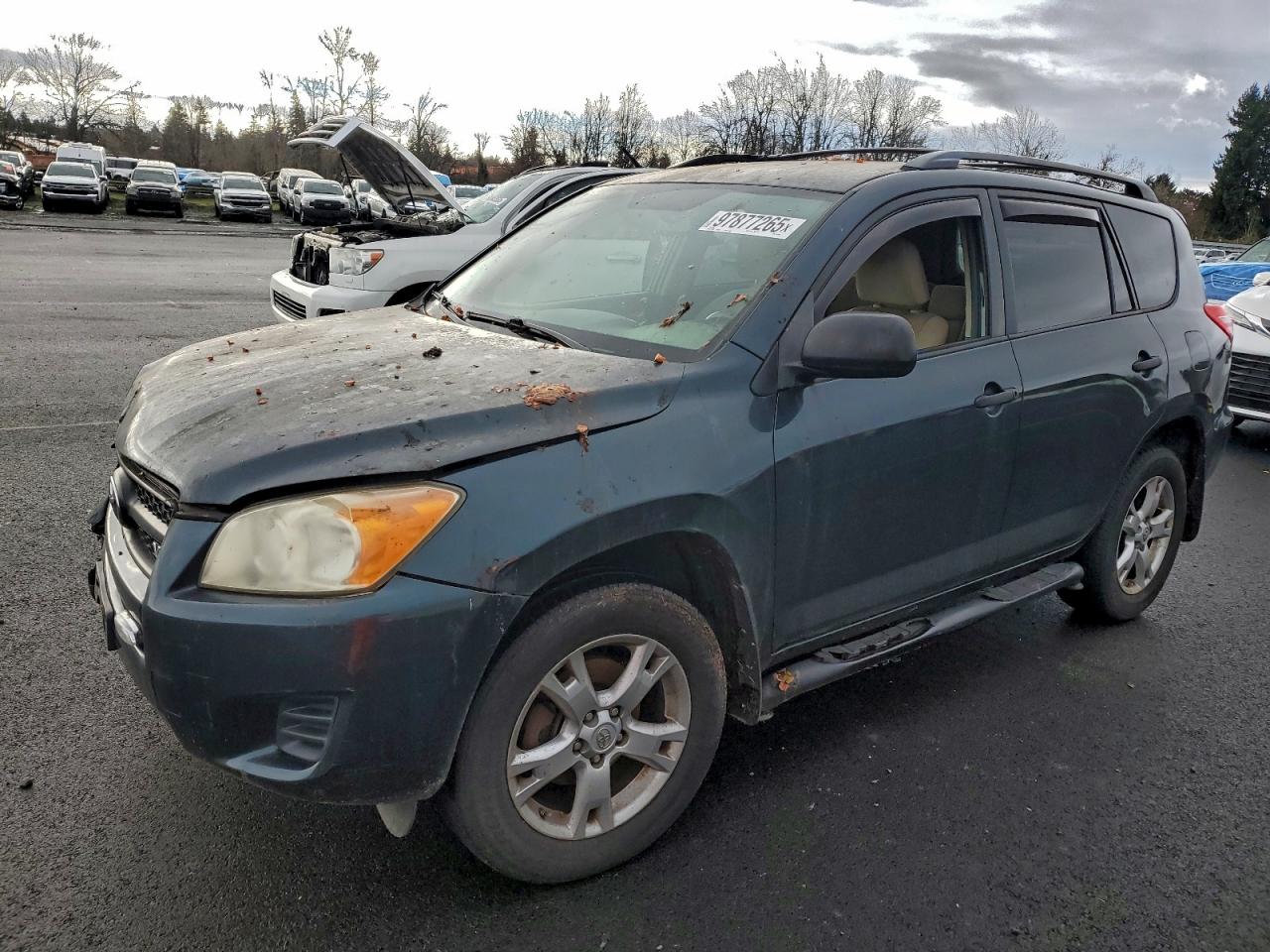Toyota RAV4 Image 1