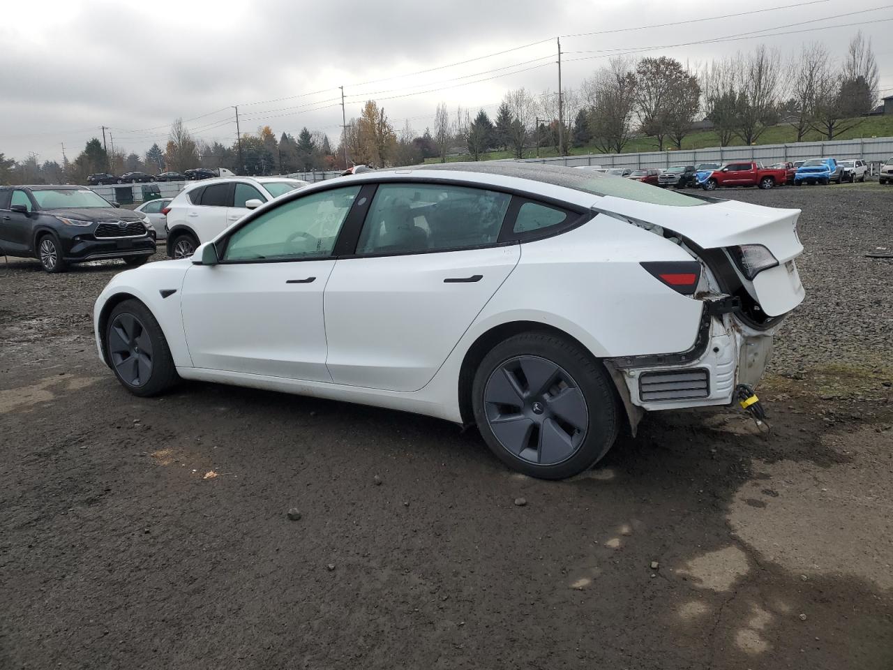 Tesla Model 3 Image 2