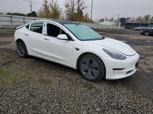 Tesla Model 3 Image 5