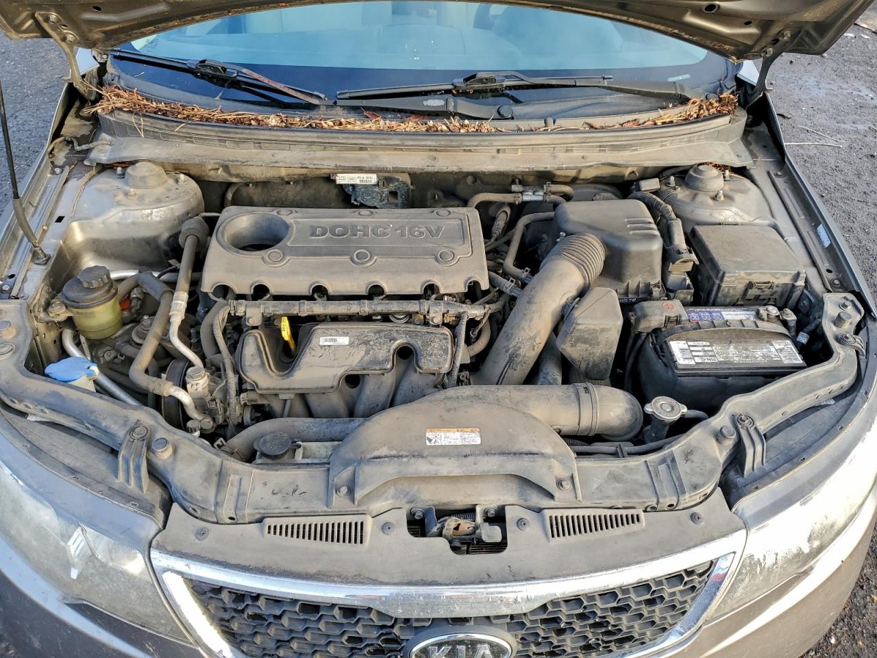 Kia Forte Ex Image 3