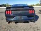 Ford Mustang Gt Image 12