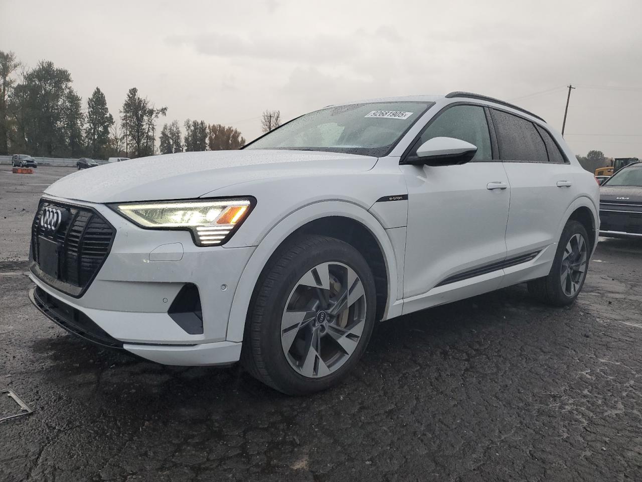 Audi e-tron Premium Image 1