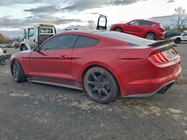 Ford Mustang Image 10