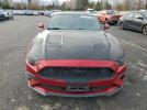 Ford Mustang Image 3