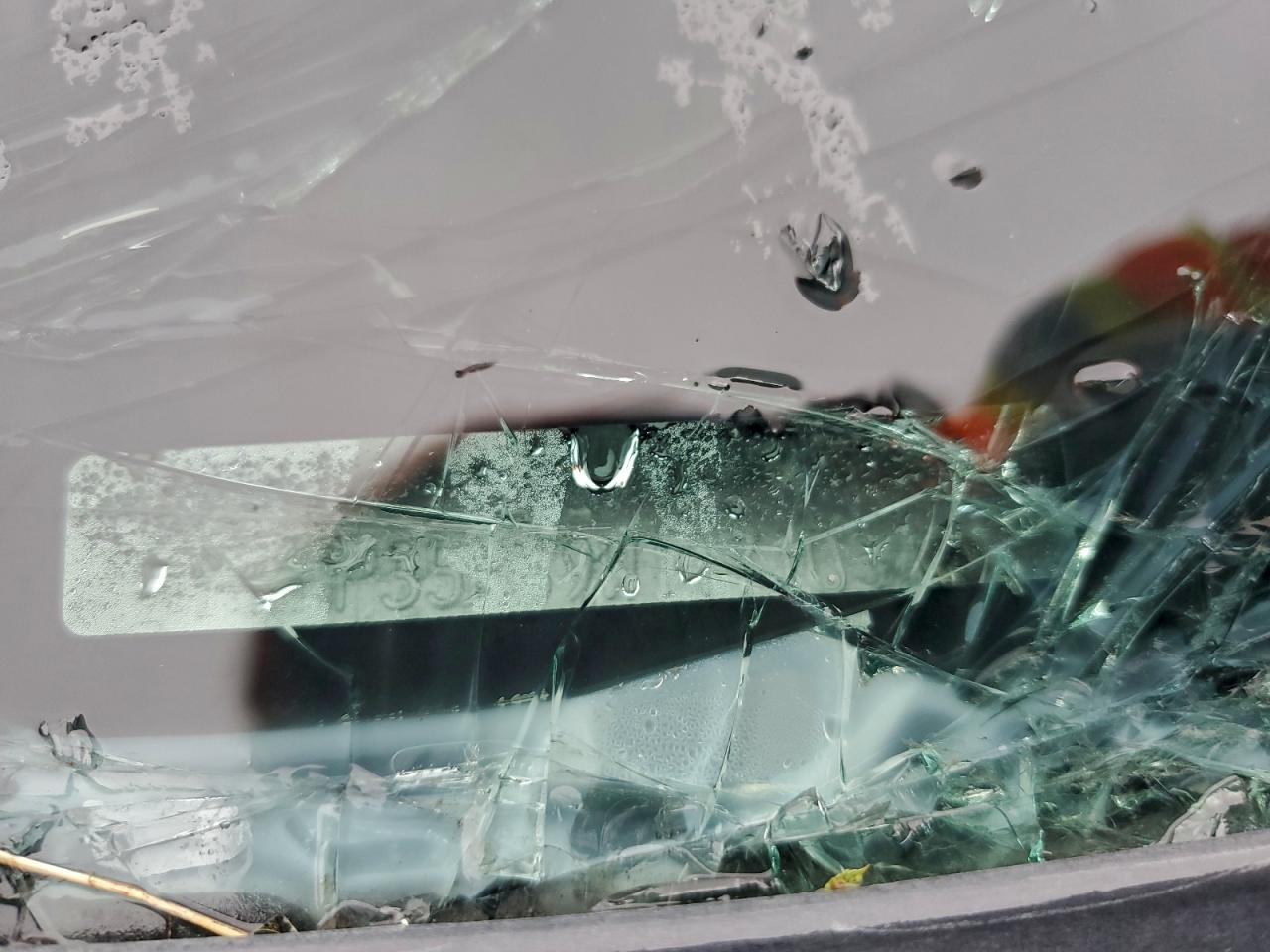 Ford Focus Se Image 6