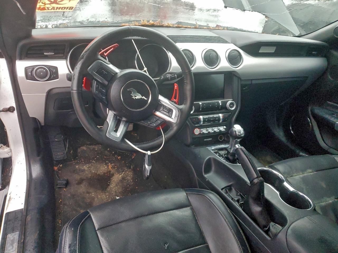 Ford Mustang Image 8