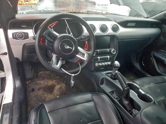 Ford Mustang Image 8