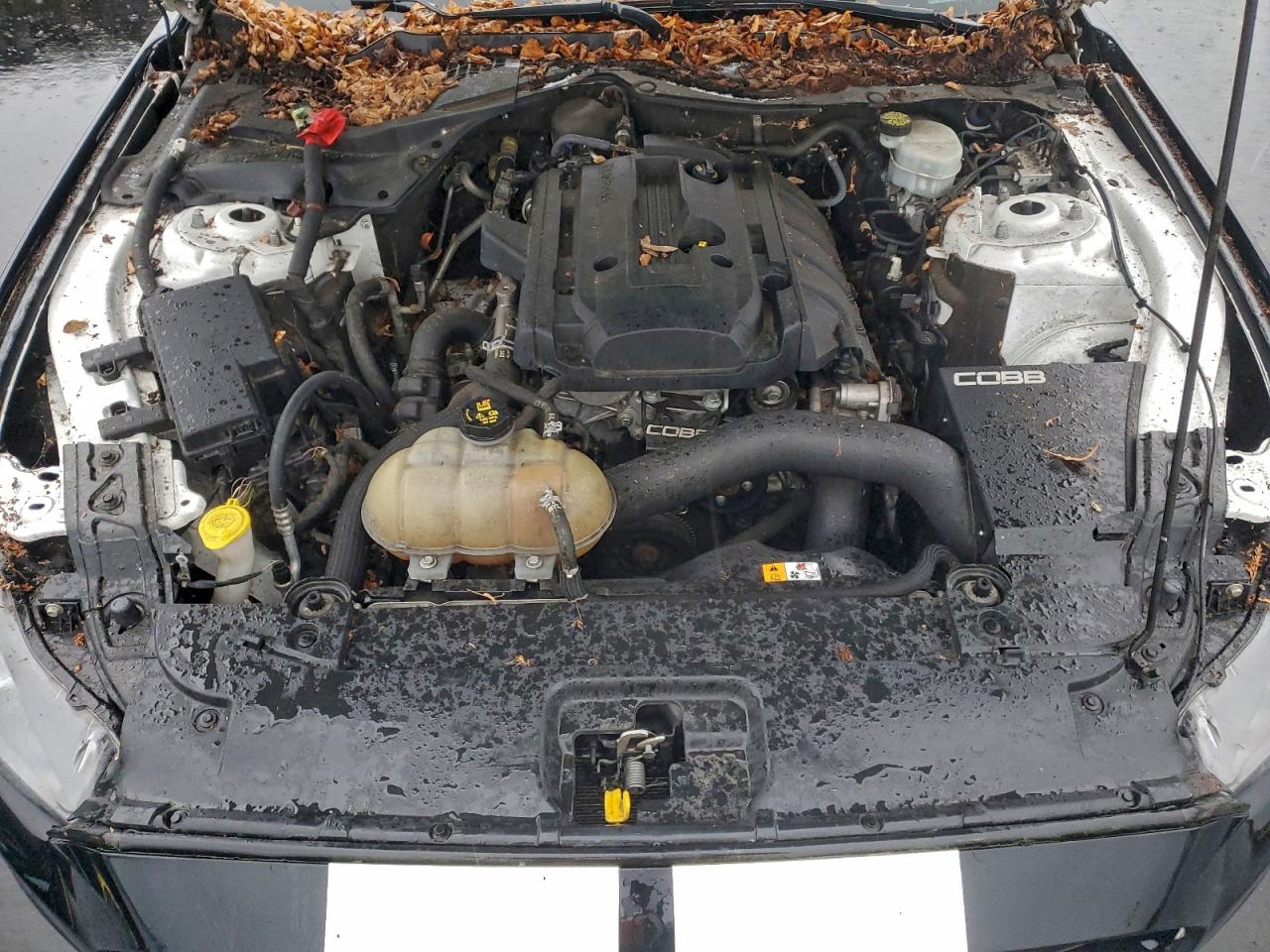 Ford Mustang Image 9