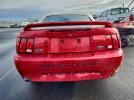 Ford Mustang Gt Image 9