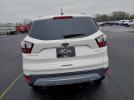 Ford Escape Titanium Image 5