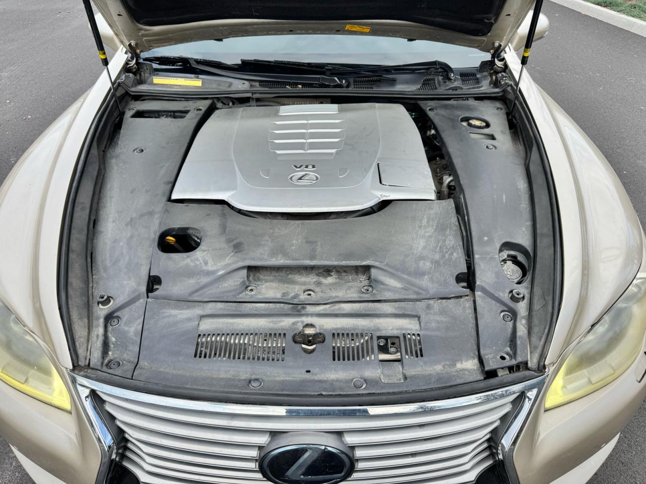 Lexus LS 460 Image 9