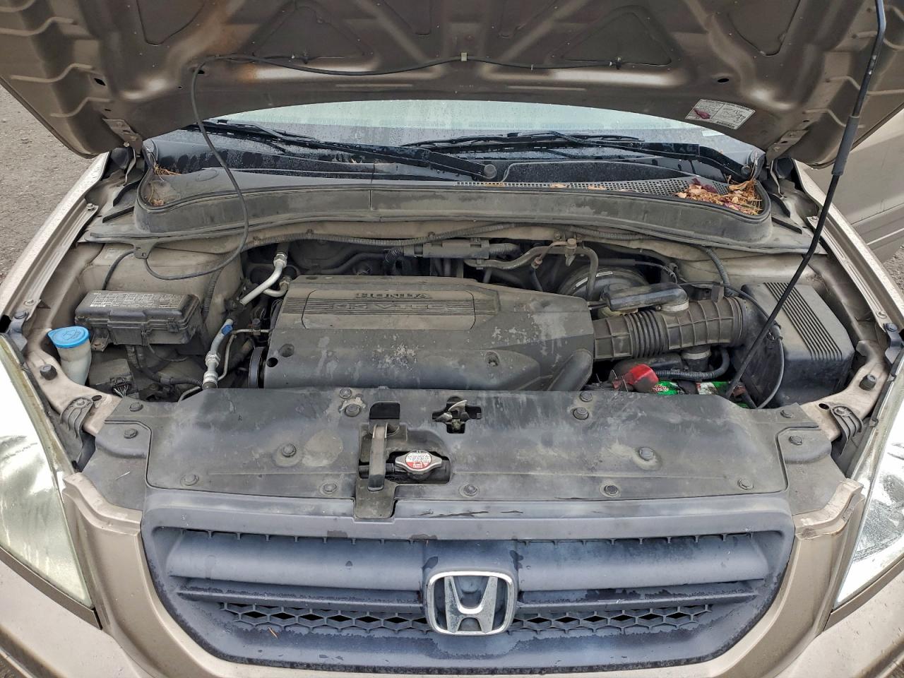 Honda Pilot Exl Image 7