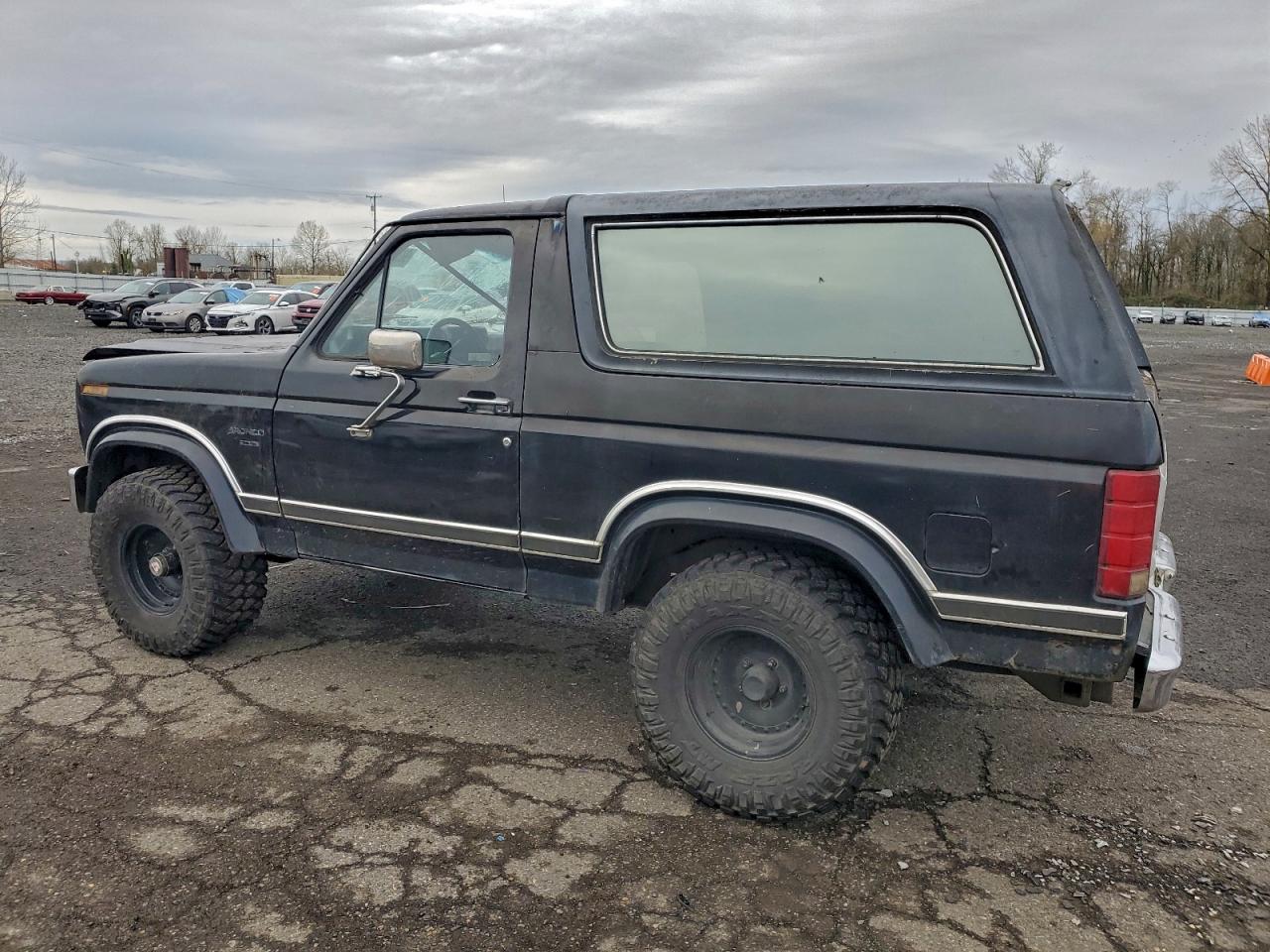 Ford Bronco U100 Image 2