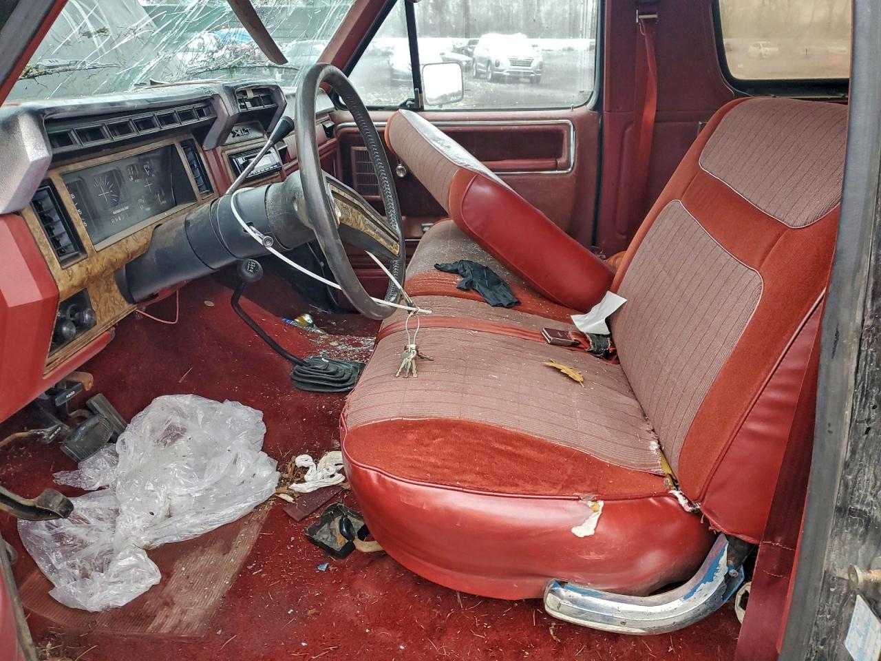 Ford Bronco U100 Image 3