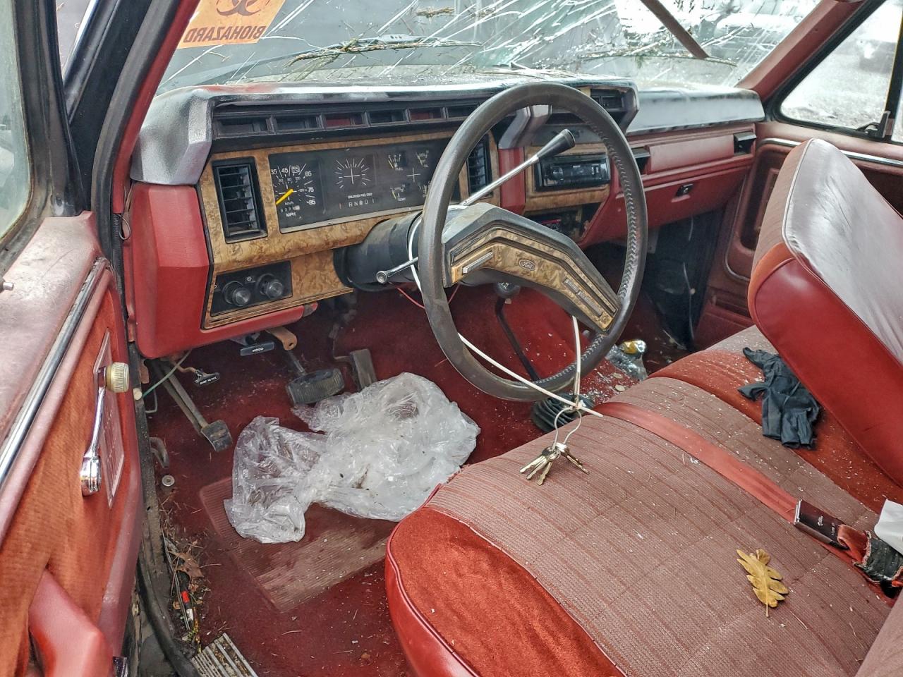 Ford Bronco U100 Image 8