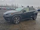Lexus NX 300 Base Image 1
