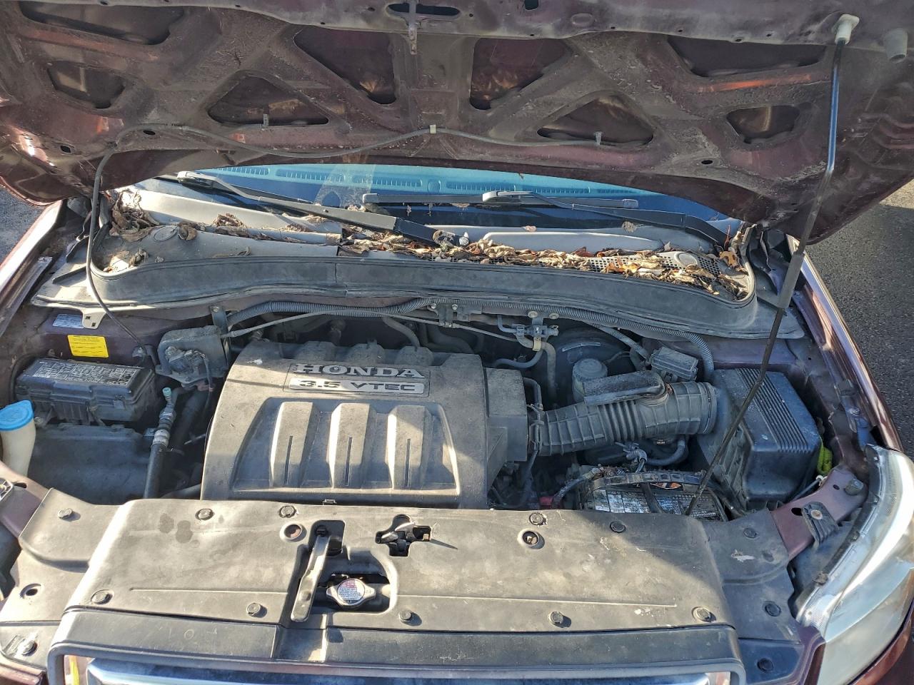 Honda Pilot Se Image 11