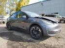 Tesla Model Y Image 3