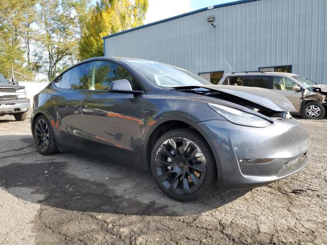 Tesla Model Y Image 3
