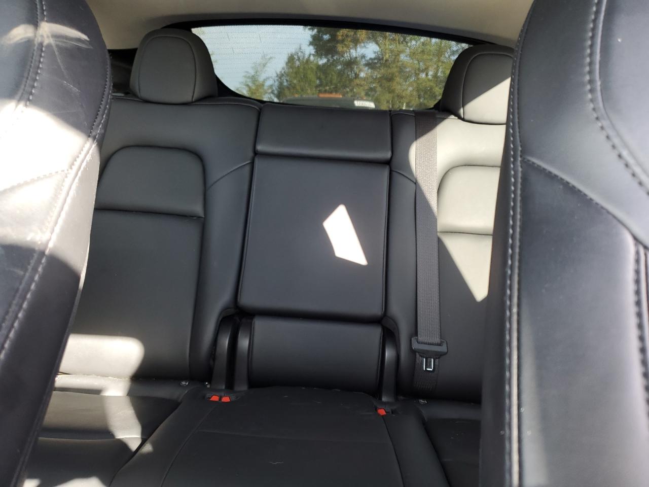 Tesla Model Y Image 5