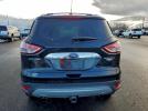 Ford Escape Titanium Image 8
