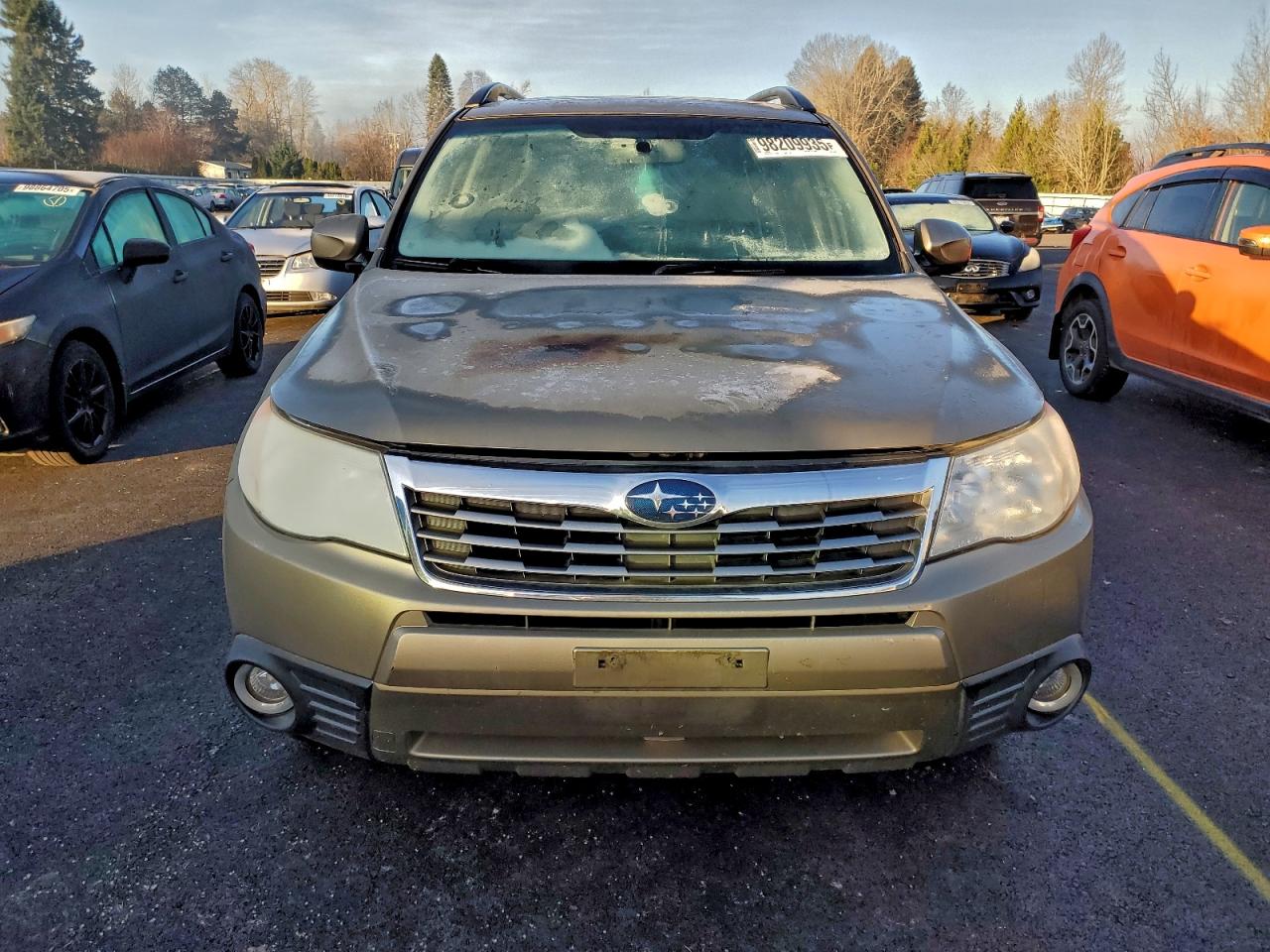 Subaru Forester 2.5x Limited Image 9