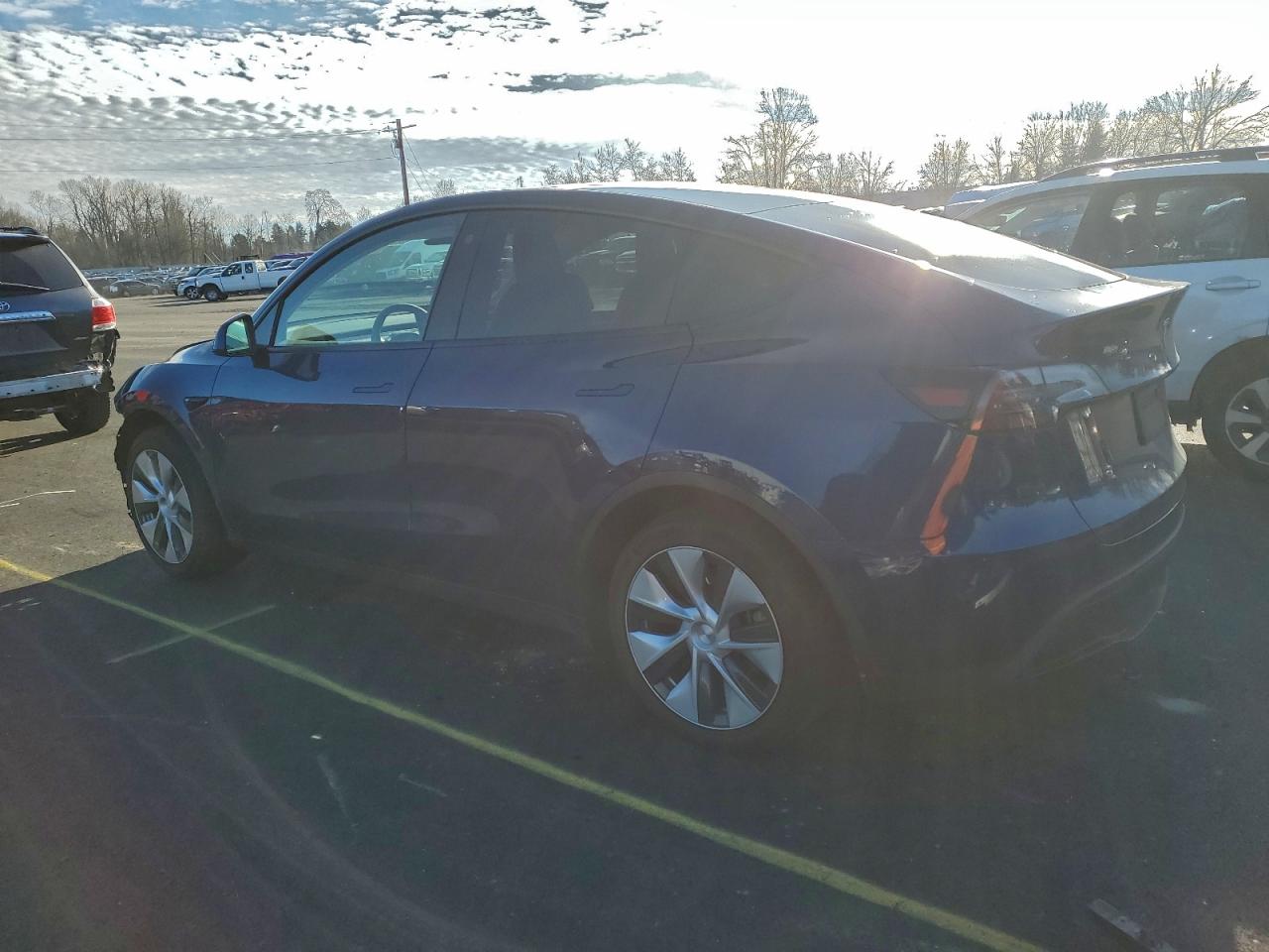 Tesla Model Y Image 2
