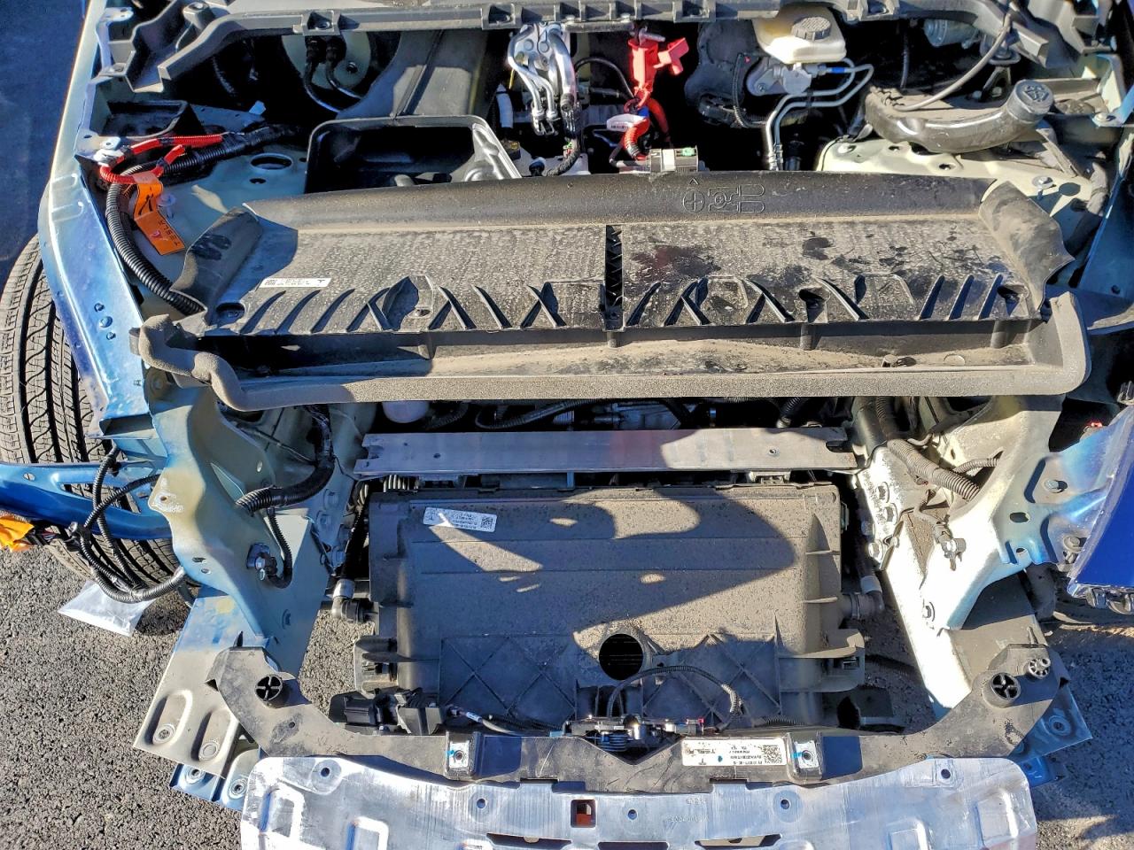 Tesla Model Y Image 11