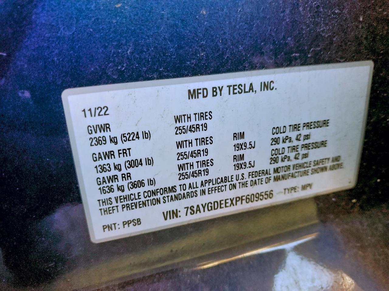 Tesla Model Y Image 9